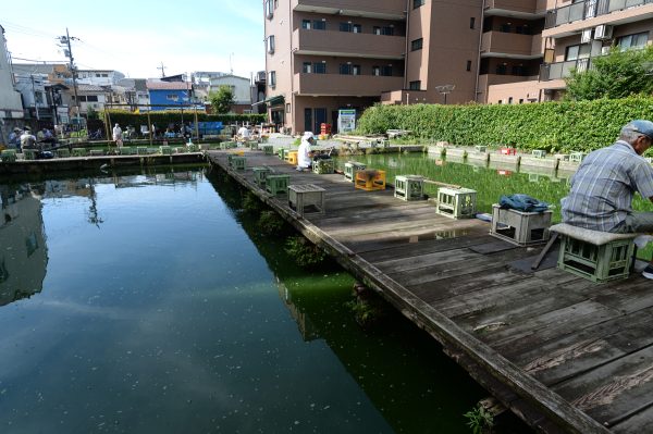 住宅地にひっそり、地元民でにぎわう愛されるつり堀。